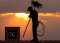 Chimney Sweep Fort Worth